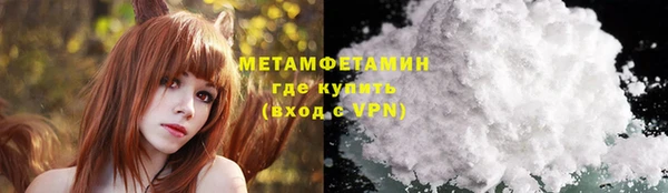 амф Гусев