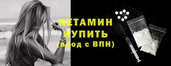 амф Гусев