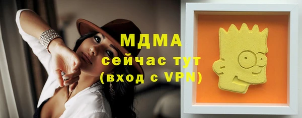 амф Гусев