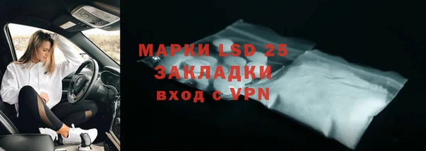 амф Гусев
