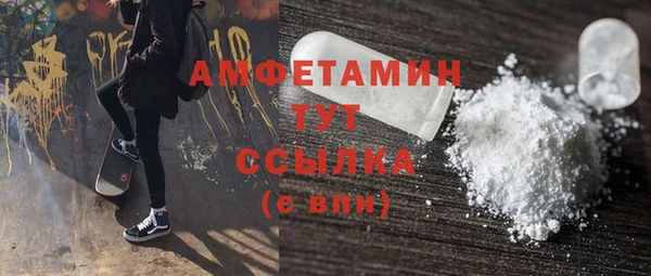 амф Гусев