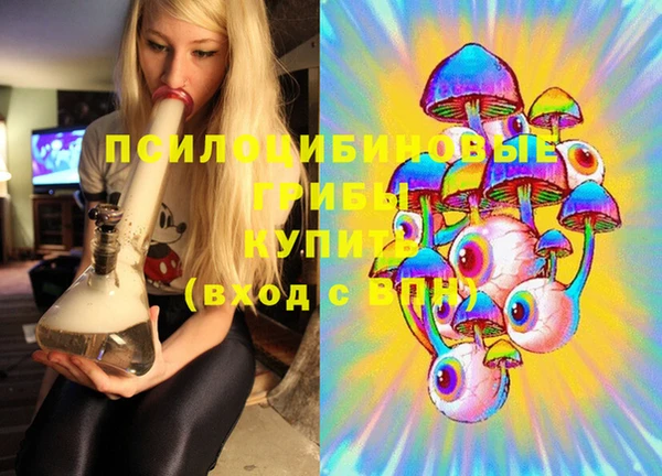 амф Гусев