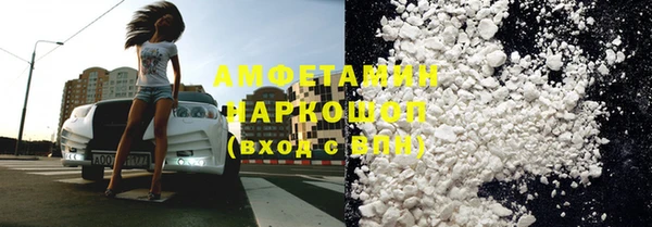 амф Гусев