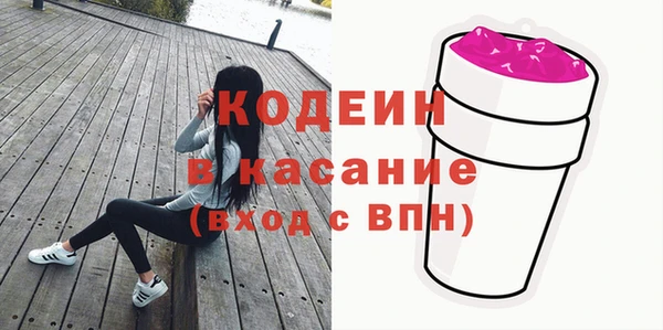 амф Гусев