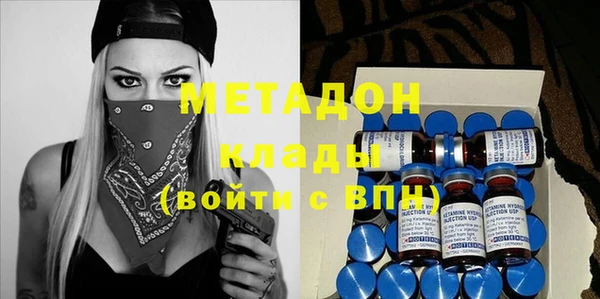 амф Гусев