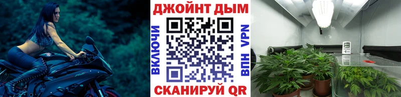 Купить где  Трёхгорный  Конопля гибрид 